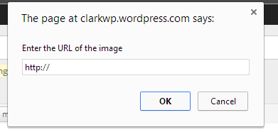 The Image window in WordPress editing panels.