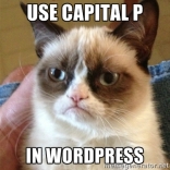 The Cat Said To Use Capital P In WordPress.