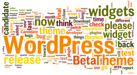 WordPress Wordle by Lorelle VanFossen.