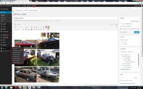 Uploading and arranging images using the NextGen Gallery WordPress Plugin screenshot.