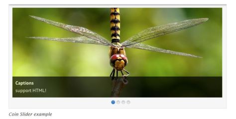Example of coin slider with a picture of a dragonfly.